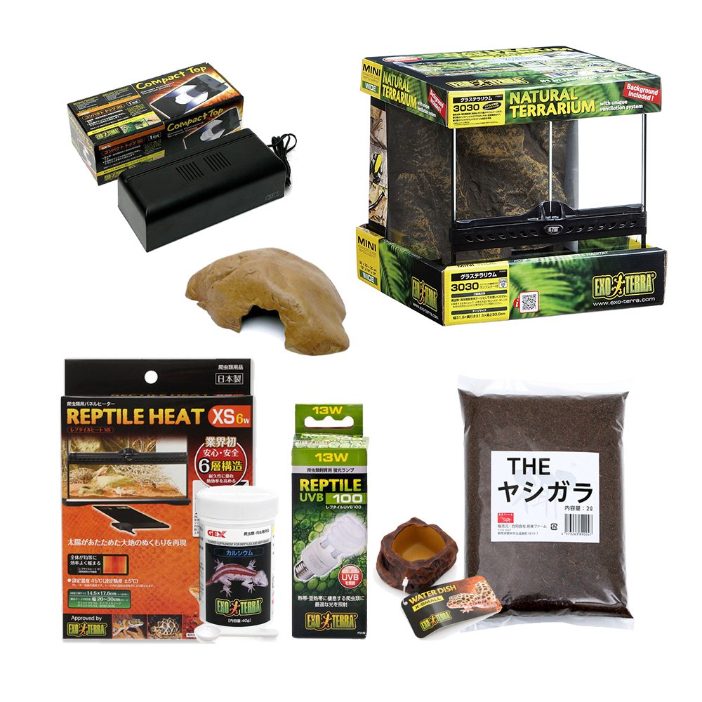 ＧＥＸ　エキゾテラ　グラステラリウム　３０３０　小型トカゲ飼育セット　お一人様２点限り　ＣＲＣ17―10―98―00―00