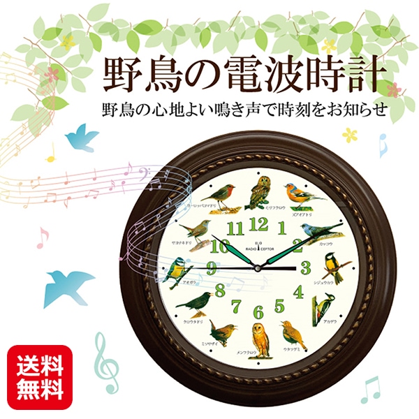 野鳥の電波時計 野鳥の会 電波時計 掛け時計 大きい 電波受信 安眠機能 壁掛け時計 野鳥 時計 野鳥の声 鳥の鳴き声 自動受信 サラウンド機能 isb
