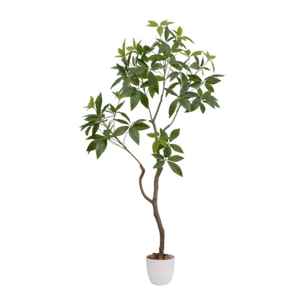 ファミリー・ライフ 光触媒 インテリアグリーン パキラ(04571) メーカー直送