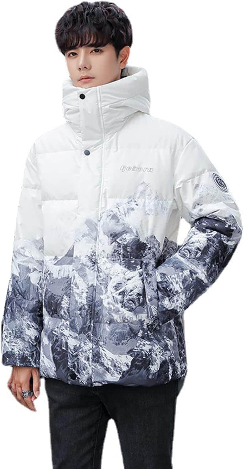 メンズ ダウンジャケット ショート丈 アヒルダウン フェザー 中綿ジャケット 立ち襟 フード付き 雪山柄 アウトドア 冬用 男女兼用 アウター カジュアル 防寒着 保温 ブルゾン ウインドブレーカー