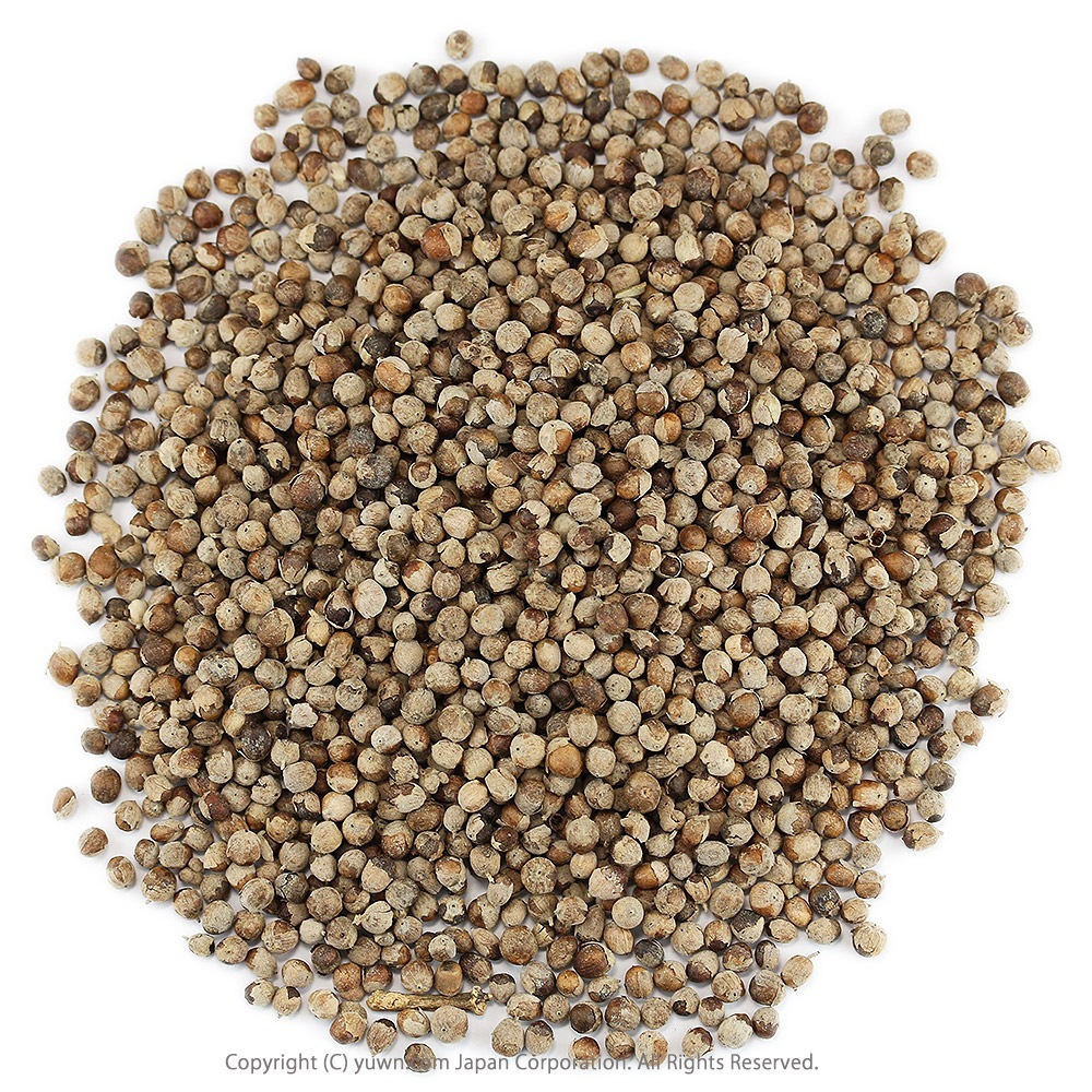 チェストベリー ハーブティー 業務用500g チェストツリー西洋ニンジンボク茶:セイヨウニンジンボク茶:イタリアニンジンボクお茶