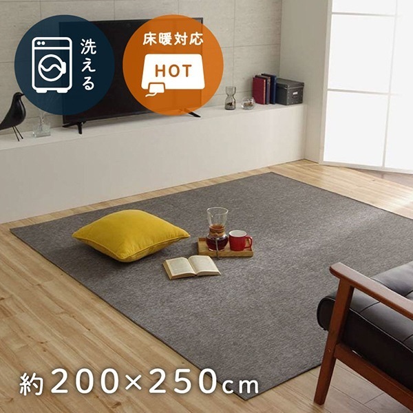 1292340136502 ラグ 洗える 無地カラー モデルノ グレー 200×250cm メーカー直送