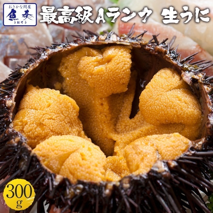 冷凍 生うに 無添加 300g(100g 3パック) チリ産 うに丼約6杯分