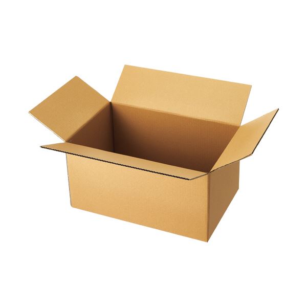 (まとめ）TANOSEE 軽量タイプ宅配用段ボール120-B3 1パック（10枚）(×10セット)