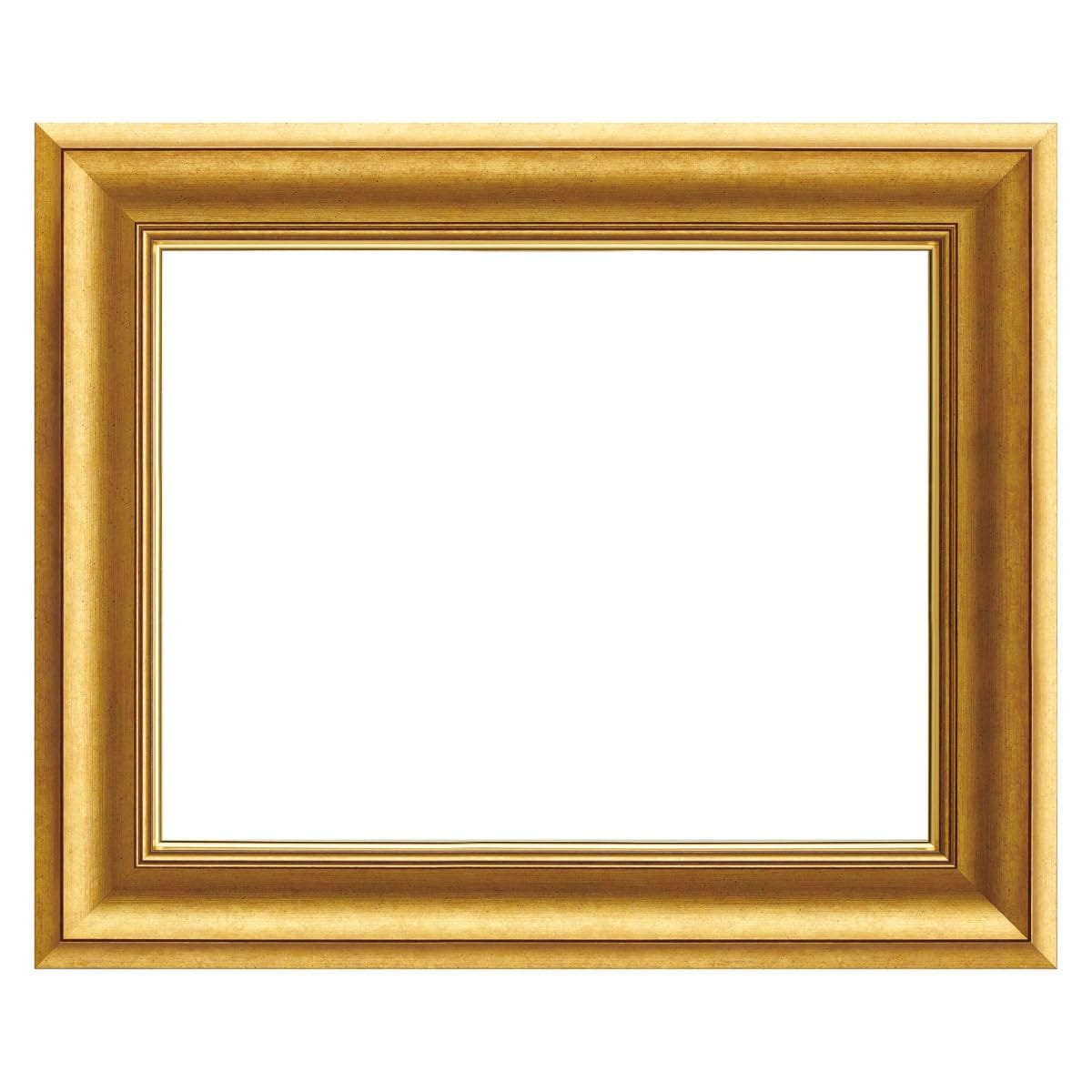 大額(Daigaku) ヴィンテージ風 額縁 UVカットアクリル 軽量 ゴールド F6号 (410×318mm) 油絵・キャンバス・パネル用 8167
