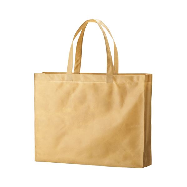 (まとめ) TANOSEE 不織布バッグ 大 ヨコ530×タテ400×マチ幅120mm ベージュ 1パック（10枚） (×5セット)