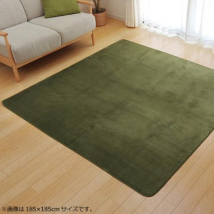 ラグ カーペット 『ピオニー』 グリーン 約185×185cm (ホットカーペット対応) 9810245