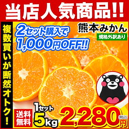 熊本 みかん 1セット 5kg 規格外 訳あり 送料無料 フルーツ 訳ありみかん 温州 家庭用 果物 柑橘 九州 産地直送 食品 品種 取り寄せ 通販 スイーツ《12月中旬-12月末頃より順次出荷》