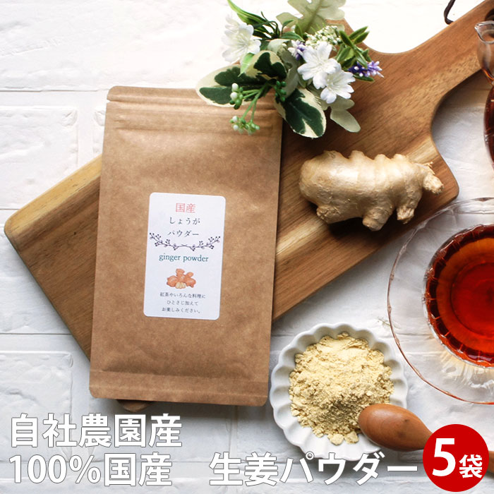 国産 生姜パウダー 20ｇ×5　100ｇ 砂糖無 生姜 ジンジャー 乾燥 生姜茶 粉 乾燥生姜 ギフト ショウガ 生姜湯 ショウガオール 女性 生姜粉末 冷え性 温活 お茶