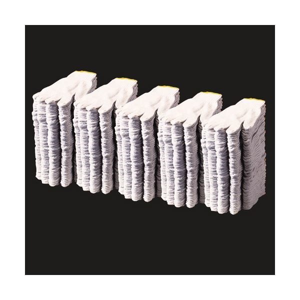 （まとめ） 大明商事 ダイトスお徳用軍手 DAOG5503 1セット（120双：12双10パック） 2セット