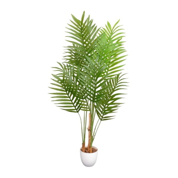 ファミリー・ライフ 光触媒 インテリアグリーン アレカヤシ(04570) メーカー直送