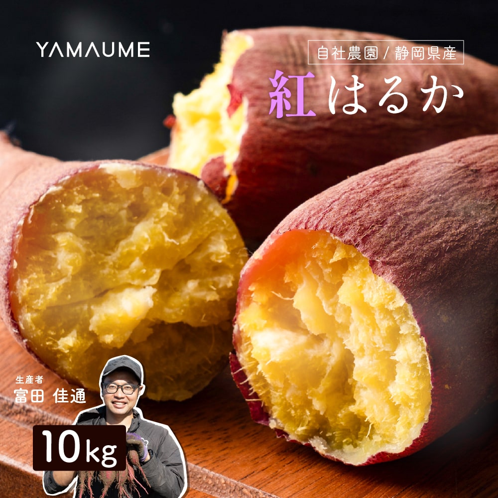 静岡県産 さつまいも 紅はるか 10kg