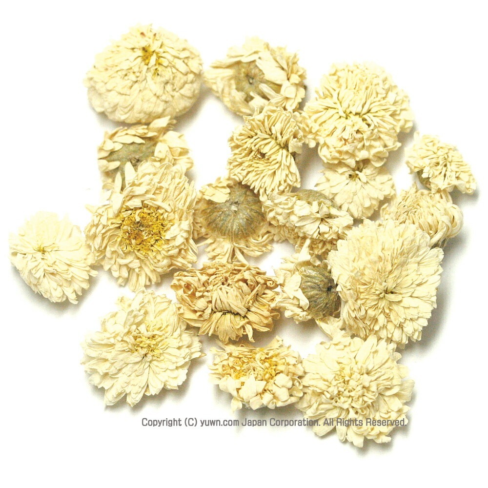 カモミールローマン 500g