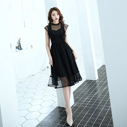 レースワンピース ワンピース フレアワンピース ワンピドレス ミニ ミニ丈 袖あり 半袖 ハイネック フレア レース フリル ハイウエスト 透け感 シースルー かわいい 大人可愛い きれいめ シンプル