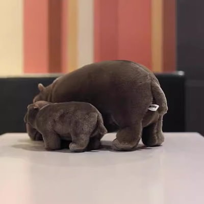 タイで大人気】コビトカバのムーデンちゃんに会いに行こう