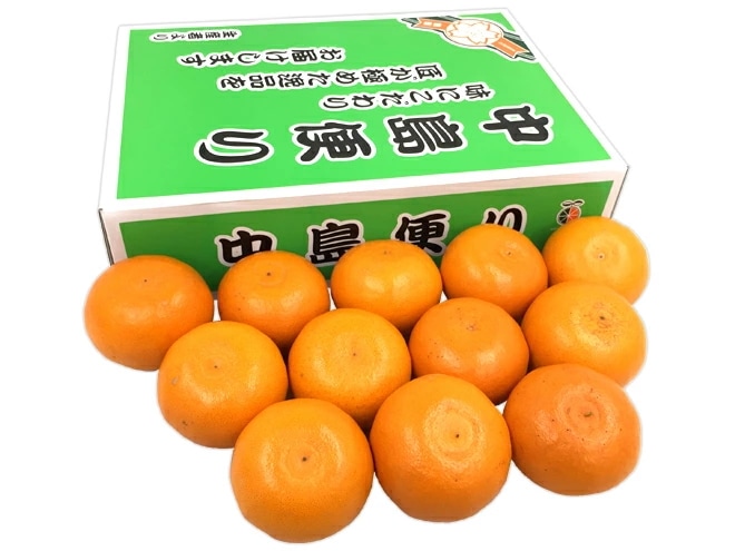 愛媛中島産 =中島便り せとか 匠と極= L/2L/3L 10-15玉約3kg 化粧箱 予約 1月末以降