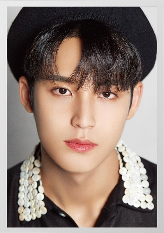 SEVENTEEN DICON D’FESTA SEVENTEEN MINGYU version 新品未開封
