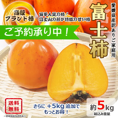 Qoo10 予約 愛媛県産 富士柿 5kg ブランド