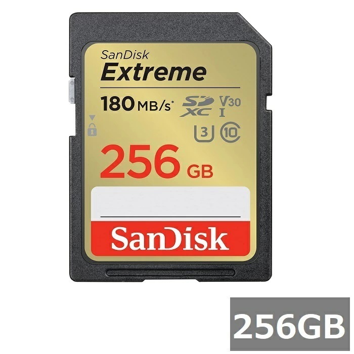サンディスク SDカード SDXC SDSDXVV-256G-GNCIN Extreme 256GB Sandisk SDXCカード SD Class10 UHS-I カメラ デジカメ ビデオ