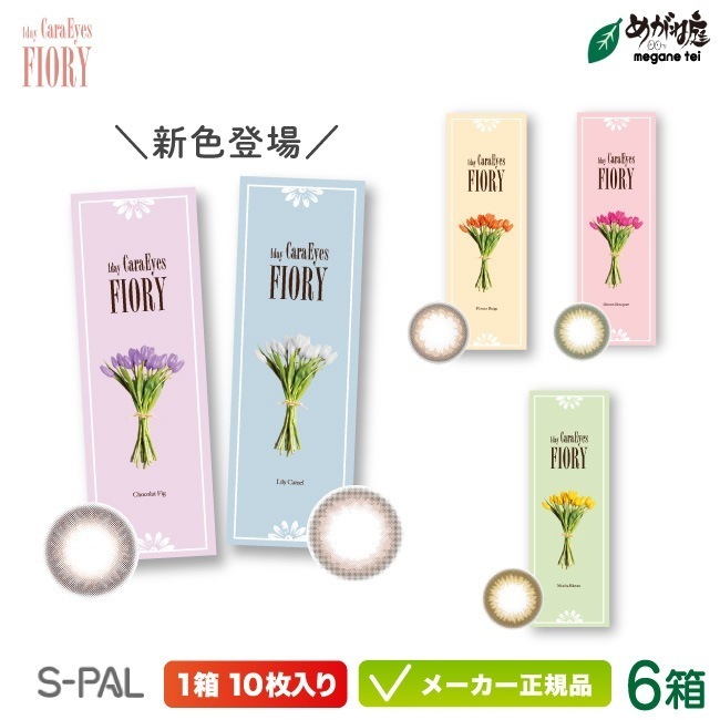 ワンデー キャラアイ フィオリー 6箱セット(エスパル カラコン chay 高発色 高含水 ナチュラル ヌケ感 フチあり フチなし 色素薄め )