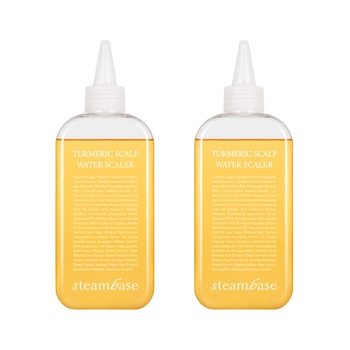 スチームベース ターメリック ウォータースケーラー 250ml x 2個