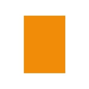 (業務用2セット) 北越製紙 カラーペーパー/リサイクルコピー用紙 (B5 500枚×5冊) 日本製 オレンジ