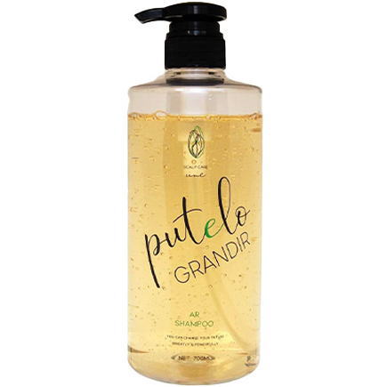 【送料無料】【正規品販売商品】プテロ putelo ／ プテロ AR シャンプー グランディール 700ml ／ スカルプ シャンプー ／ サロン専売品 育毛 スカルプ 薄毛