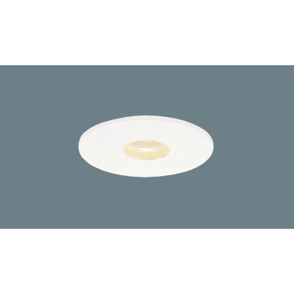 LGD1022L [ダウンライト10形集光電球色]