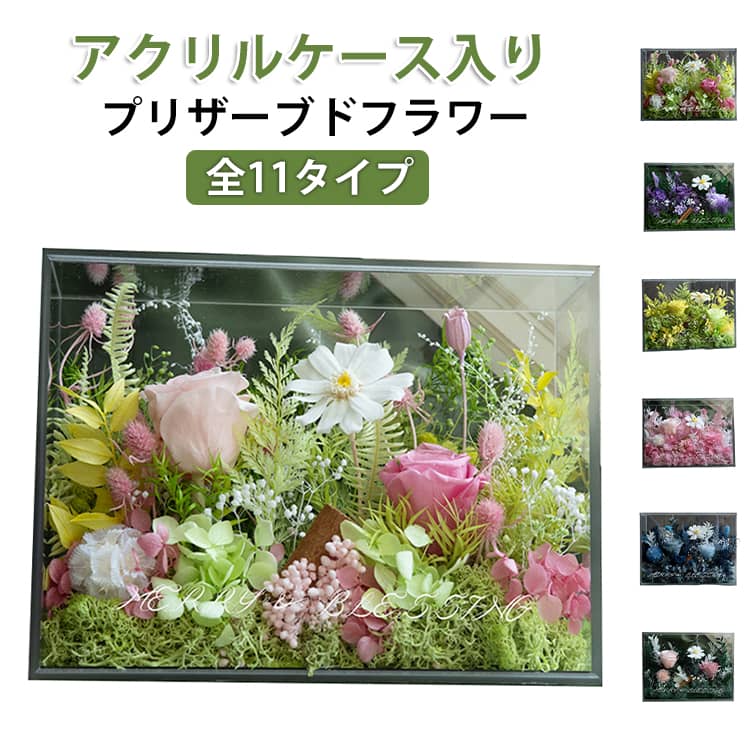 【3日出荷】プリザーブドフラワー フレームフラワー バラ ローズ アレンジメント アクリルケース ギフト クリアケース付き タンポポ フラワーギフト 2026 母の日 プレゼント 記念日 誕生日 贈り