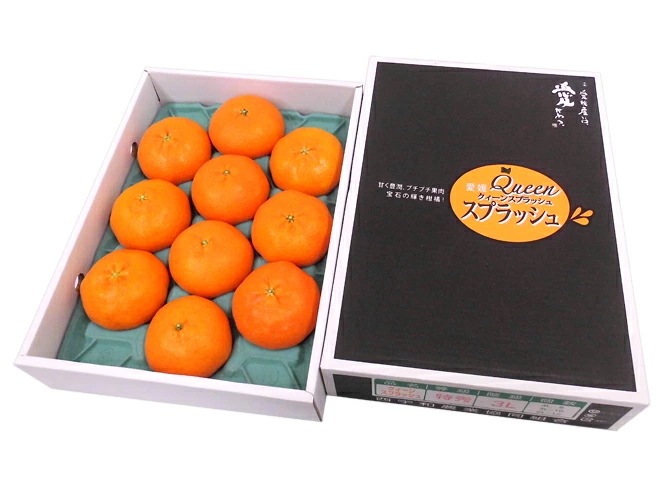 愛媛産 =甘平 愛媛Queenスプラッシュ= 特秀品 2Lサイズ以上 8-12玉 約3kg 化粧箱 糖度13度以上【予約 1月中旬以降】