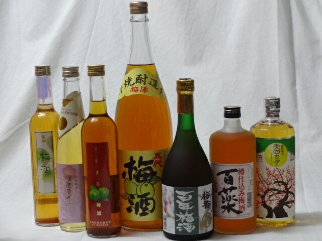 訳あり商品 こんな梅酒福袋が欲しかったぁ 7本セット (百助梅酒 天空の