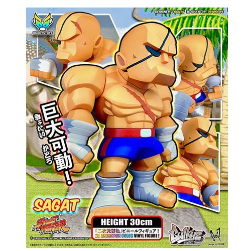 STREET FIGHTER Bulkyz Collections サガット