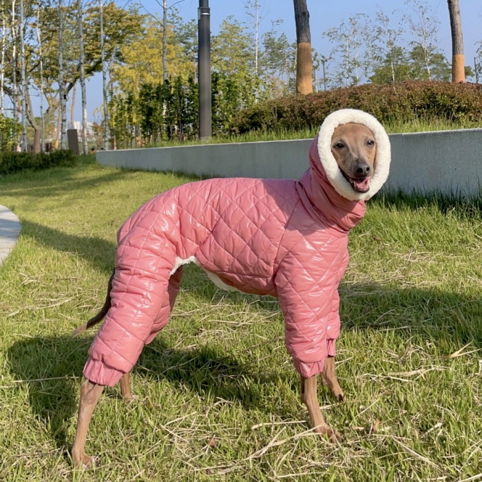 べドリントンテリア 服 2XL 中綿 キルティング ロンパース ダウンコート中型犬 大型犬 秋冬 韓国 防寒 ペット服 ペット用品 犬服