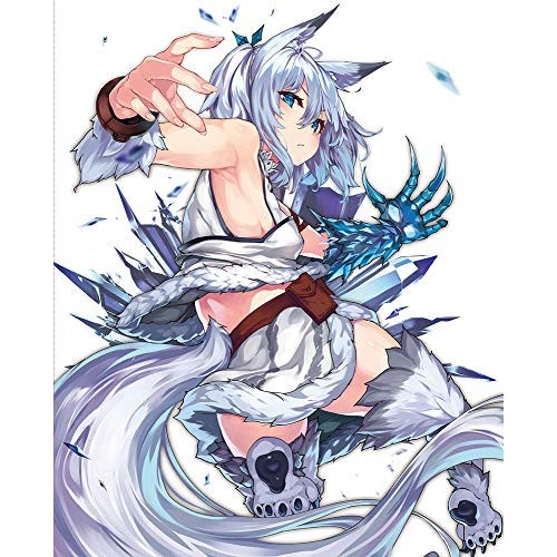 回復術士のやり直し Vol.2(Blu-ray Disc) (Blu-ray) ZMXZ-14662