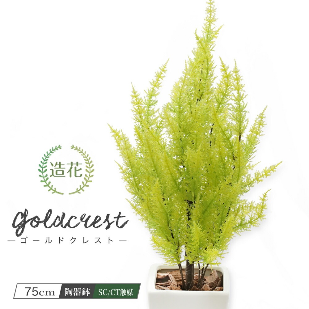フェイクグリーン ゴールドクレスト 75cm ライトグリーン SC/CT触媒