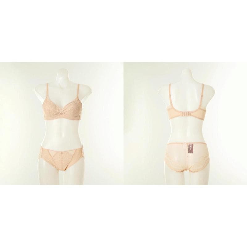 Gカップ下着セットVBR9005GVPT9005SSKCSG