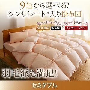 9色から選べる!シンサレート入り掛布団 セミダブル ナチュラルベージュ