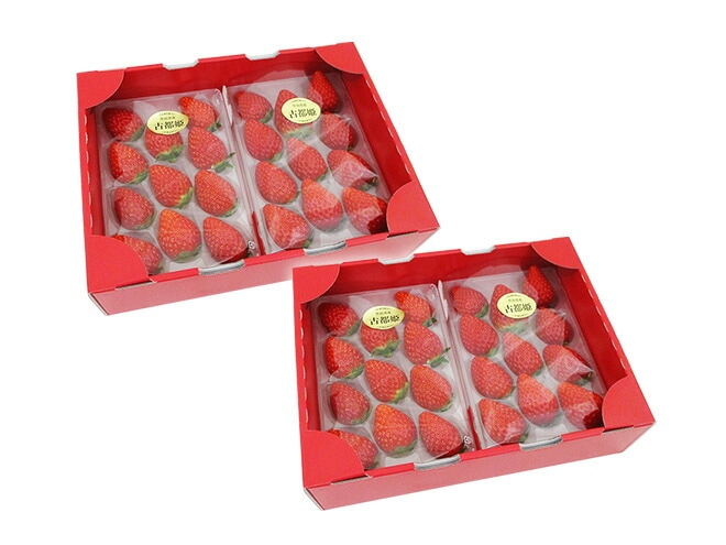 奈良県産 =古都姫いちご= 2pc x2箱（1pcあたり9-15粒前後 約250g） 予約 1月以降