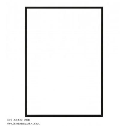 大額 OA額 ラインフレーム(5017) B2 ブラック
