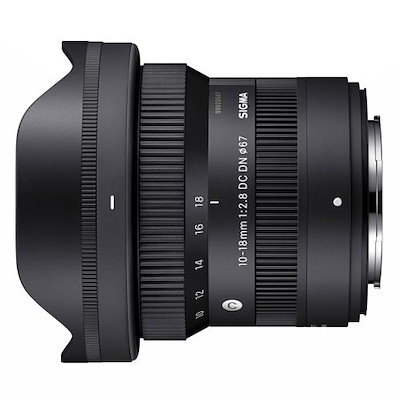 西村麻里さん　桜観音様　青龍様　直筆絵画　日本画 西村麻里さん 桜観音様 青龍様 直筆絵画 日本画