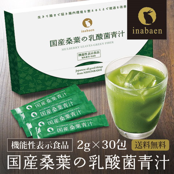 グリーンモンスター乳酸菌青汁GREEN MONSTER 2箱セット BOXタイプ】青