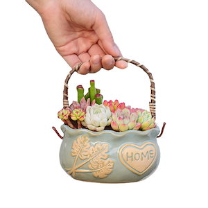 3個セット植木鉢 多肉植物 花瓶 贈り物 室内 韓国 鉢植え 観葉 ミニ 盆栽鉢 飾り 手描き陶磁器 陶器