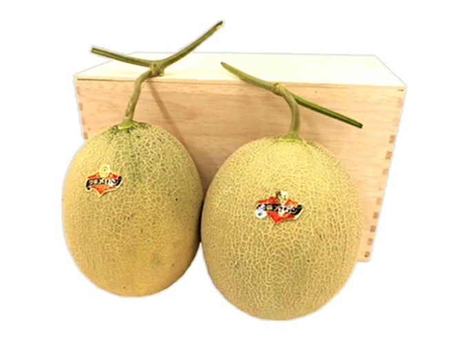 産地直送 北海道 夕張メロン 2玉約3.2kg 共撰/秀品 専用木製化粧箱=秀5-2玉（木箱）=予約 6月下旬以降