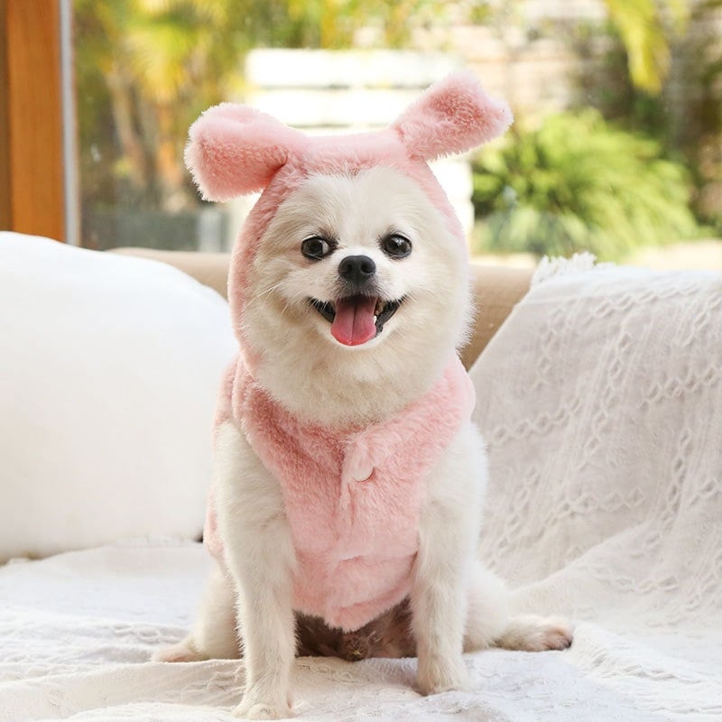 秋冬用小型・中型犬用ペットコート（テディ＆ビションフリーゼ用リボン飾り付き）