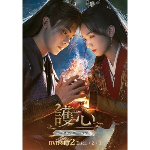 DVD / 海外TVドラマ / 護心(ごしん)～デスティニー・ラブ～ DVD-SET2