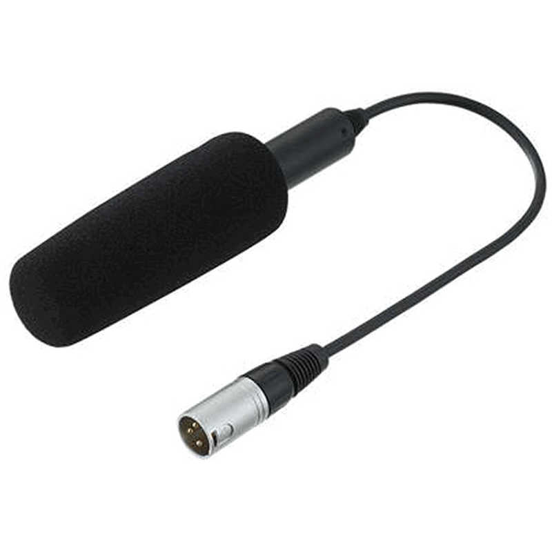 パナソニック　Panasonic　超指向性マイクロホン(モノラル)　AG-MC200G