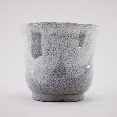 【信楽焼】【植木鉢】白マット雪割草鉢 4号鉢【盆栽鉢 ミニ盆栽 陶器 植え替え 鉢 おしゃれ かわいい 園芸職人12cm】