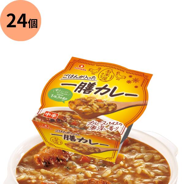 一善 カレー 1個250g 24個セット レトルト食品 おくさま印 幸南食糧