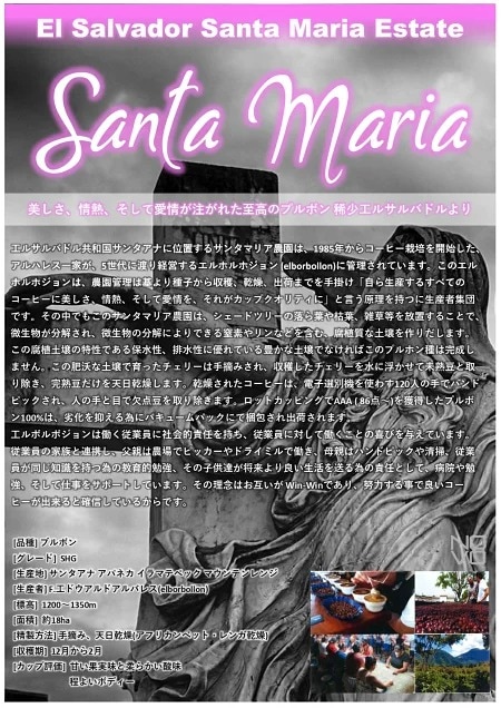 受注焙煎！2kg エルサルバドル サンタアナ サンタマリア農園 [選べる焙煎度合い] コーヒー豆 大山珈琲 業務用 自家焙煎 卸