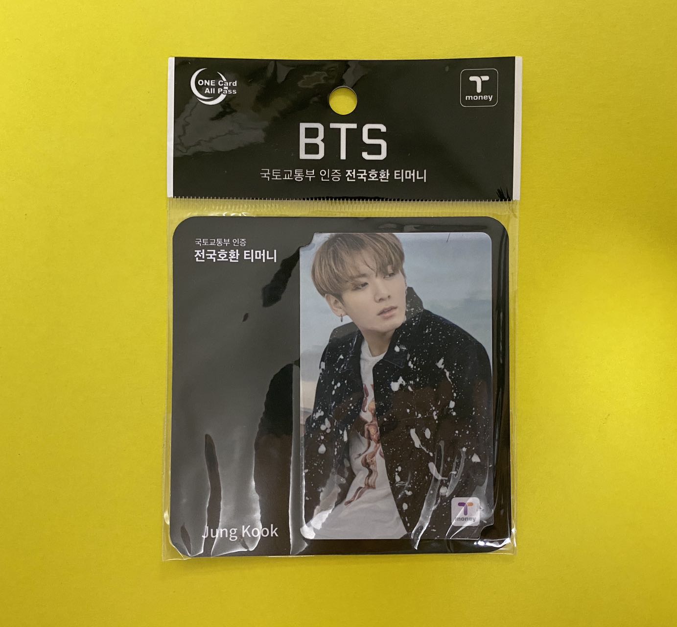 BTS ジョングク 2017年　CUコラボ　交通カード 花様年華VER　T-money カード　春の日 봄날　初期限定　韓国限定 グク JK 6,142円